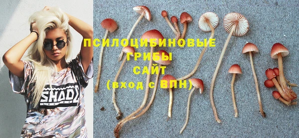хмурый Абдулино