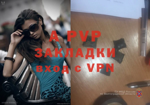 амф Абинск